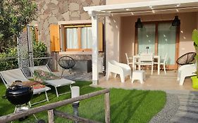 Chia Sweet Home